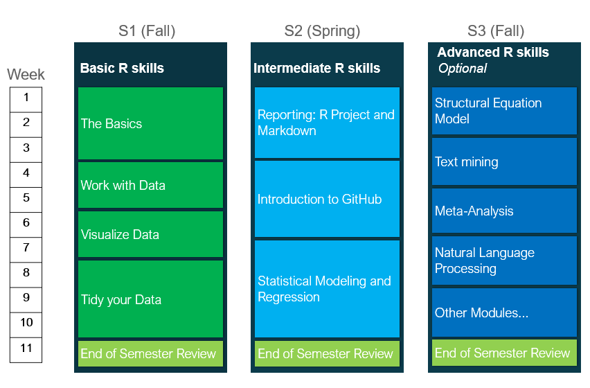 An overview of the R Training Program timeline - see specific topics below